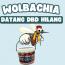 Wolbachia